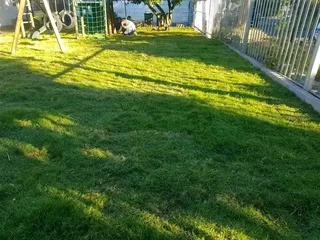 Kikuyu, LM Beria and Buffalo Grass Delivery and supply