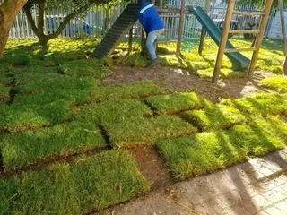 Kikuyu, LM Beria and Buffalo Grass Delivery and supply