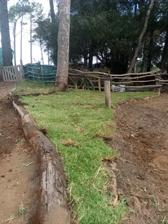 Kikuyu, LM Beria and Buffalo Grass Delivery and supply