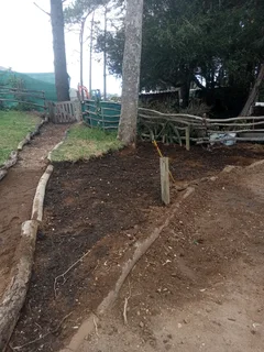 Kikuyu, LM Beria and Buffalo Grass Delivery and supply