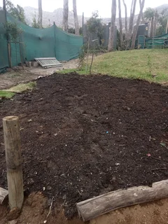 Kikuyu, LM Beria and Buffalo Grass Delivery and supply