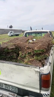 Kikuyu, LM Beria and Buffalo Grass Delivery and supply
