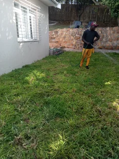 Kikuyu, LM Beria and Buffalo Grass Delivery and supply
