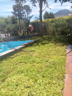 Kikuyu, LM Beria and Buffalo Grass Delivery and supply