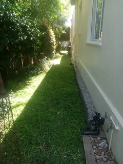 Kikuyu, LM Beria and Buffalo Grass Delivery and supply