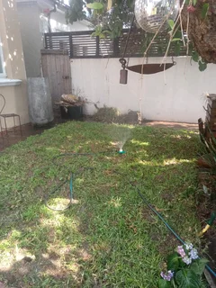 Kikuyu, LM Beria and Buffalo Grass Delivery and supply