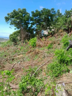 1 Elizabeth Street ,Umkomaas ,South Coast ,KZN 2067m²