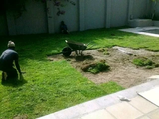 Mike lawns