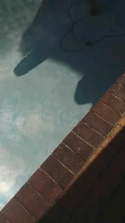 Swimming pool Repair and Mantainance