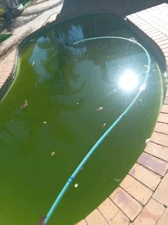 Swimming pool Repair and Mantainance