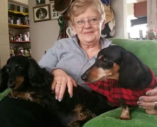 We Sit Pets Centurion