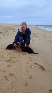 We Sit Pets Centurion