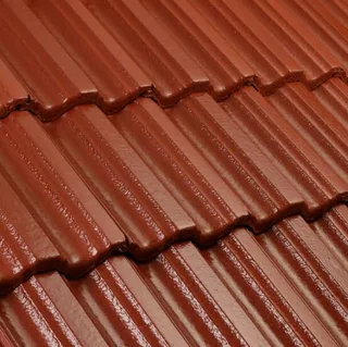 Roof Painting + free waterproofing