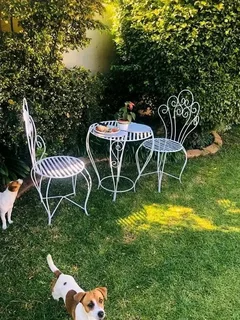 Metal garden chairs and table