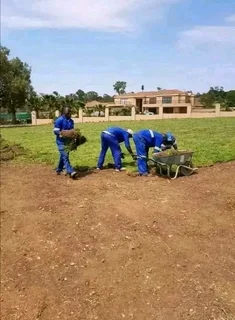 Fit and supply kikuyu grass with top soil? Compost