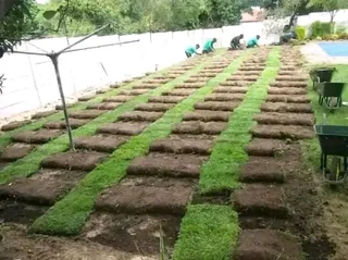 Fit and supply kikuyu grass with top soil? Compost