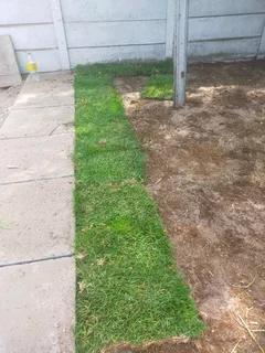 Grass available delivery and installation