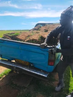 Grass available delivery and installation