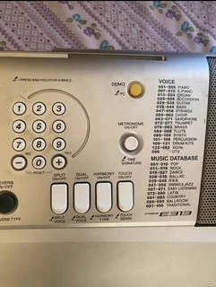 Yamaha PSR E313
