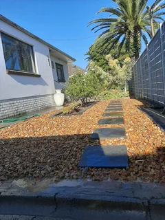 Landscaping and Home Improvement