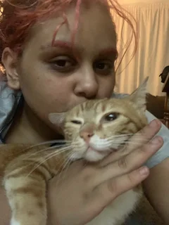 House or pet sitting or baby sitter﫶