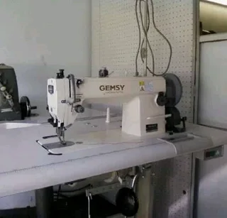 Gemsy walking foot sewing machine