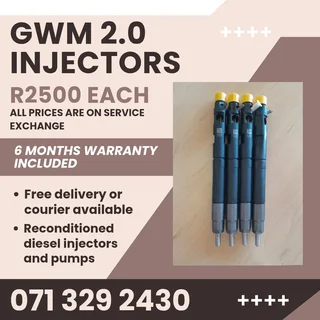 Gwm 2.0 Injectors For Sale With Warranty Included