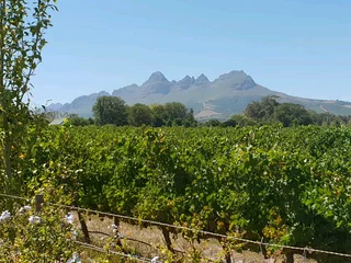 Pet friendly cabin with wonderful views and enclosed garden to rent