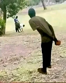 Walla Builders And Renovation