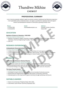 Black Friday CV Special – Professional CV Writing Only R15