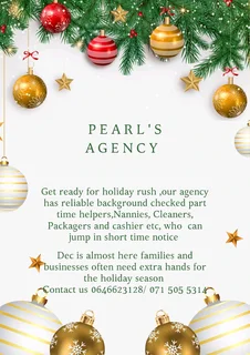 Pearl's Nannies and Domestic Agency