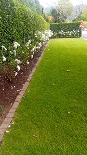 Hardworking gardener boy