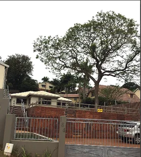 Prime 3/4 Bed House to Rent in Parkhill, Durban North | Secure | Parking for 5 | 3 Baths.
