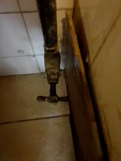 Dollar dollar plumbing services