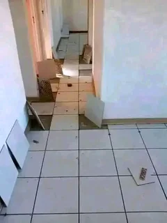 Building and renovations