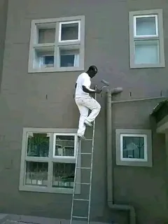 Building and renovations