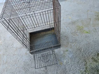 Bird cage
