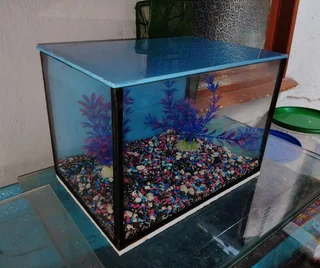 Display tank cheap