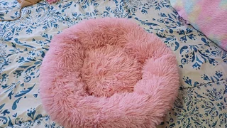2 Dog beds(Deal package)- pink donut bed and brown dog mat/bed