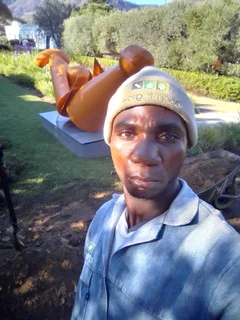 EXPERIENCE AS A GARDENERS LOOKING FOR A JOB