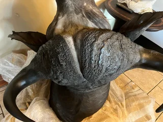 Buffalo Shoulder Mount