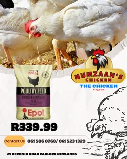 Chicken - Ad posted by Nhlakanipho Khumalo