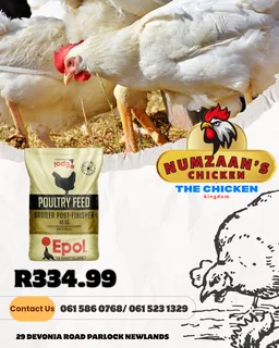 Chicken - Ad posted by Nhlakanipho Khumalo