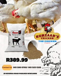 Chicken - Ad posted by Nhlakanipho Khumalo