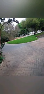 Gardener Looking for a job