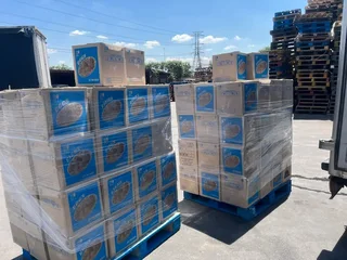 Very healthy eggs for sale at very cheap prices