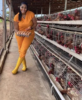 We sell healthy point of laying chickens at good prices