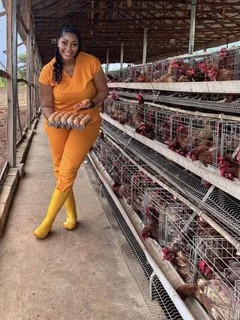 We sell healthy point of laying chickens at good prices
