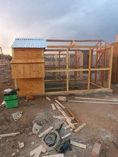 Chicken nerst for sale