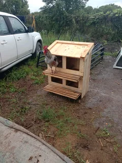 Chicken cage&#39;s and chicken nerst for sale